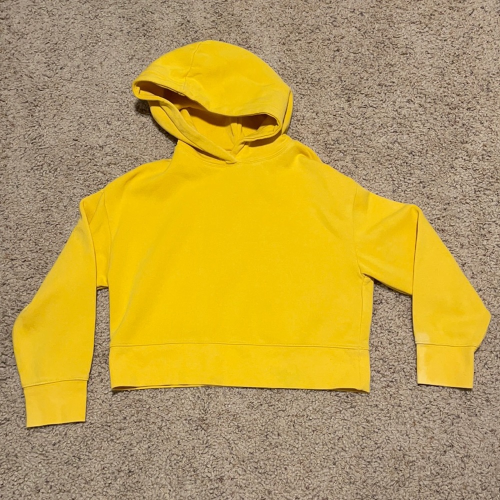 ZARA Cropped Hoodie